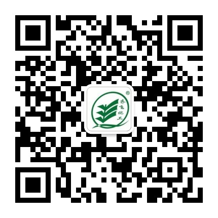 黄瓜视频APP视频免费观看公众号